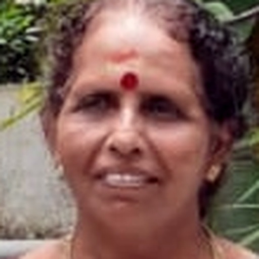 Narayani E